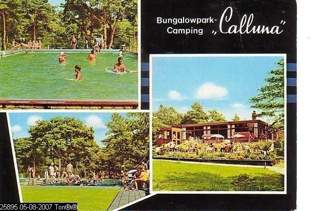 Ansichtkaart	Ommen	Calluna Bungalowpark Camping	3-luik, Verzenden, 1960 tot 1980, Gelopen, Overijssel