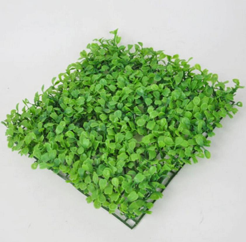 Groene Sier Gras Blad Plant Aquarium / Sier Nep Waterplant, Verzenden, Nieuw