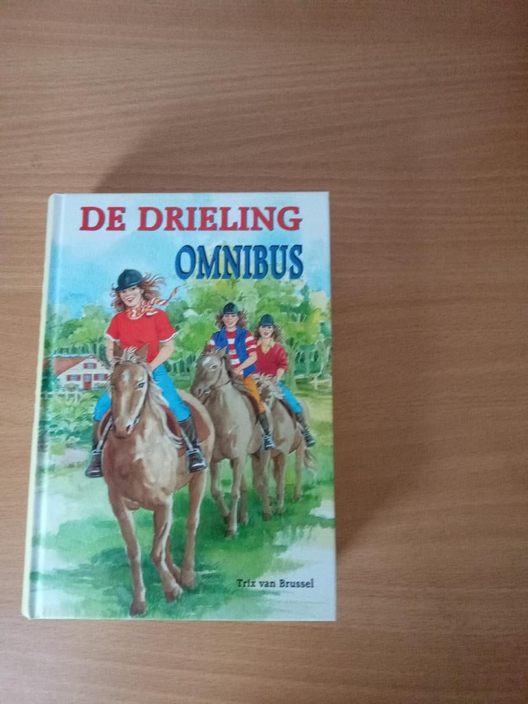 De drieling, Verzenden, Nieuw, Trix van Brussel, Fictie