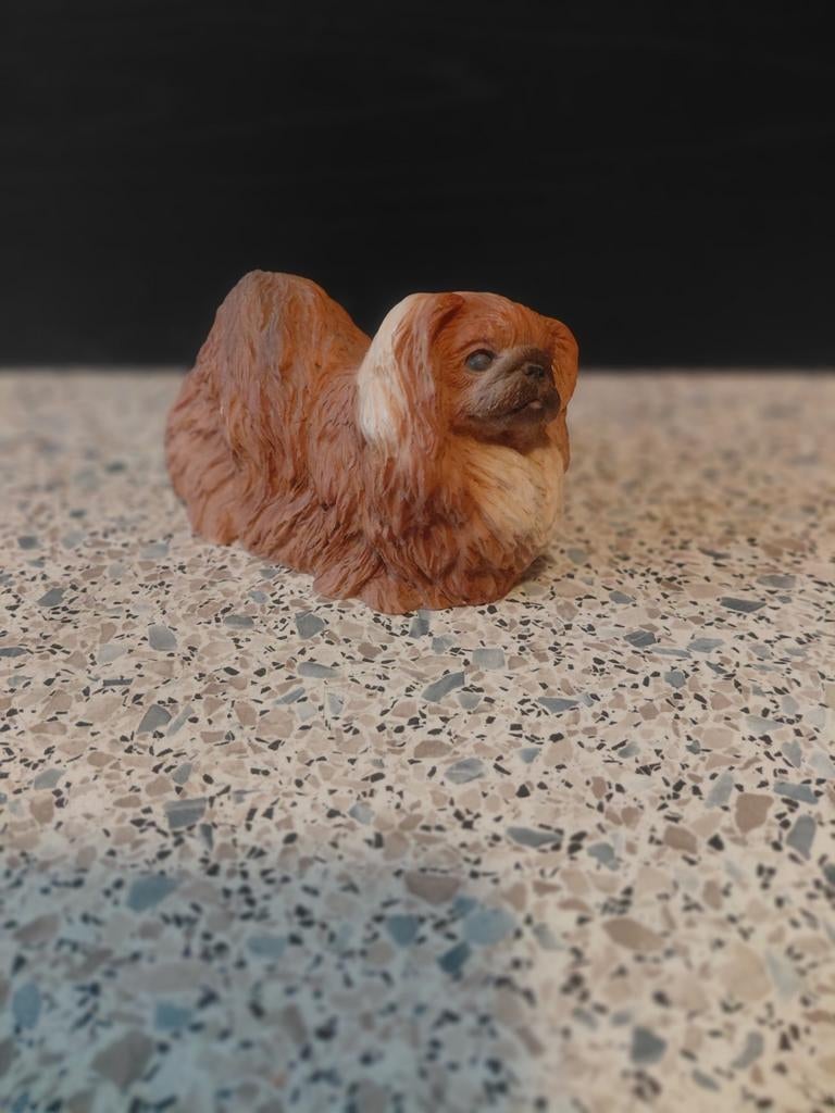 Pekingees, Ophalen of Verzenden