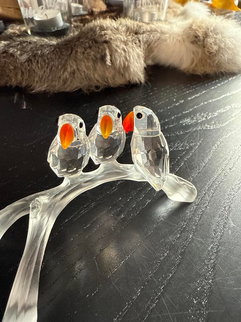 Swarovski Papegaaien op Tak, Verzamelen, Swarovski, Ophalen, Gebruikt, Figuurtje