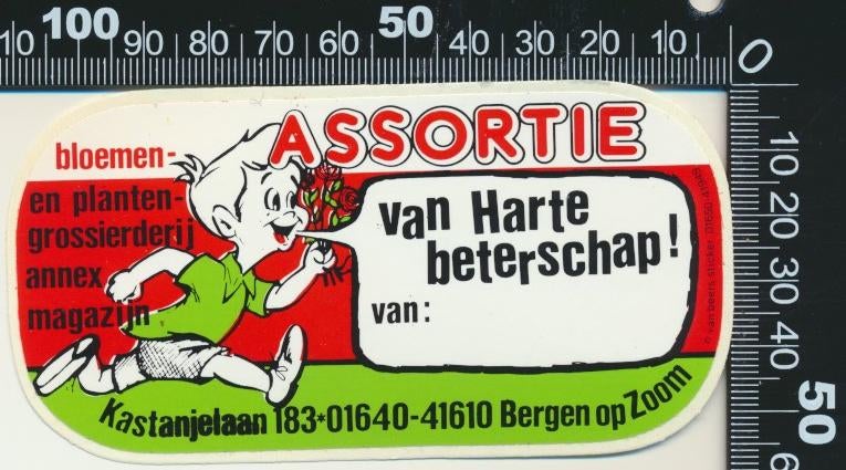 Sticker: Assortie Bloemen en Planten - Bergen op Zoom, Ophalen of Verzenden, Zo goed als nieuw, Bedrijf of Vereniging