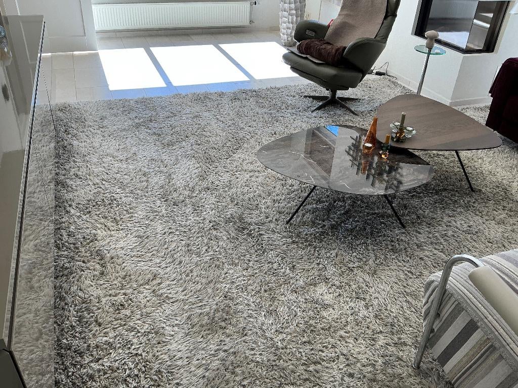 De Millenerpoort Vloerkleed 380x400cm, Ophalen, Gebruikt, 200 cm of meer, Grijs