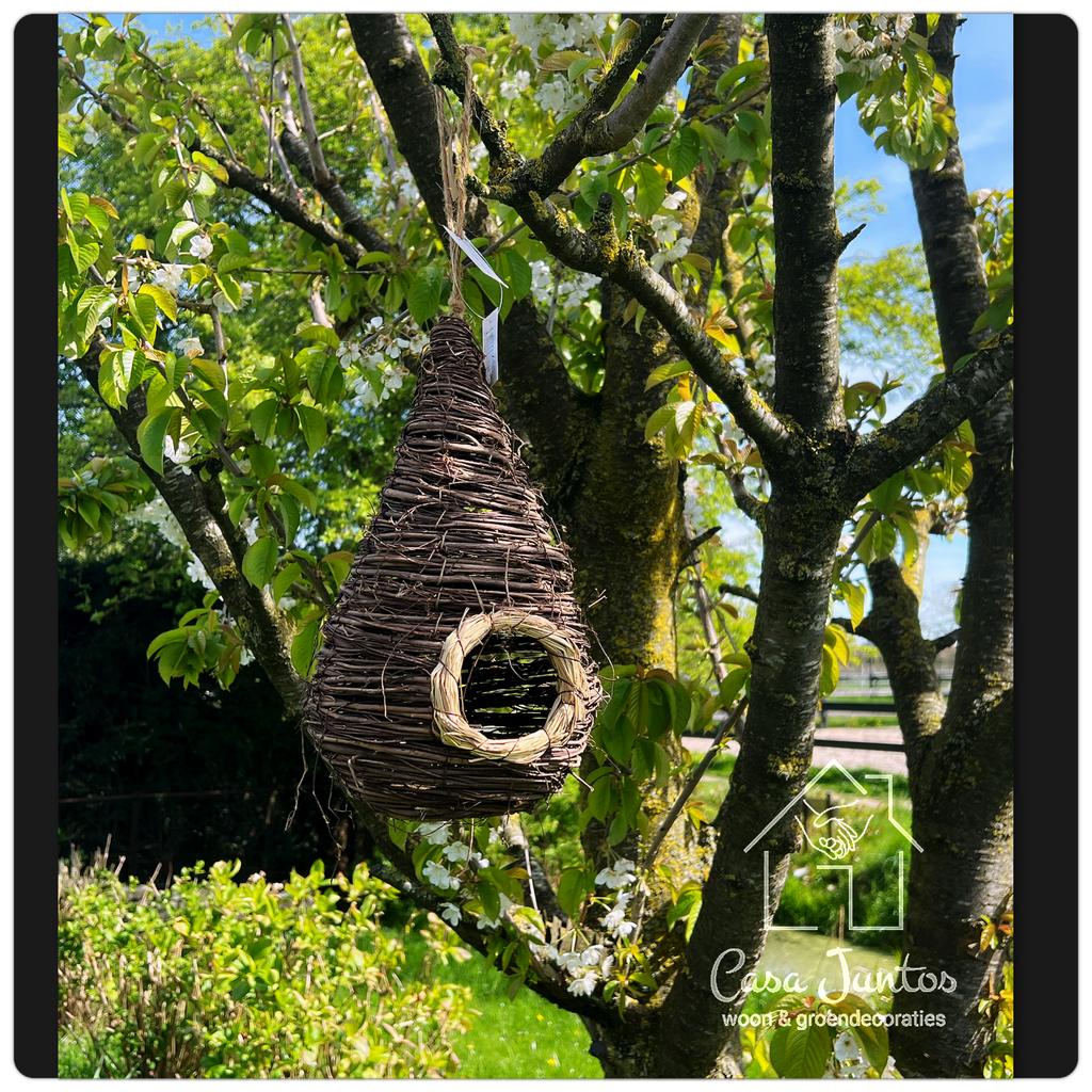 Schattige landelijke vogelnestjes, Nieuw, Ophalen of Verzenden, Nvt, Nvt