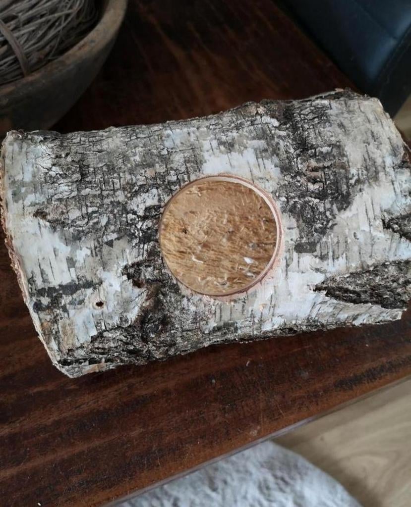 Berk tunnel hamster muis gerbil, Minder dan 60 cm, Kooi, Minder dan 75 cm, Ophalen of Verzenden