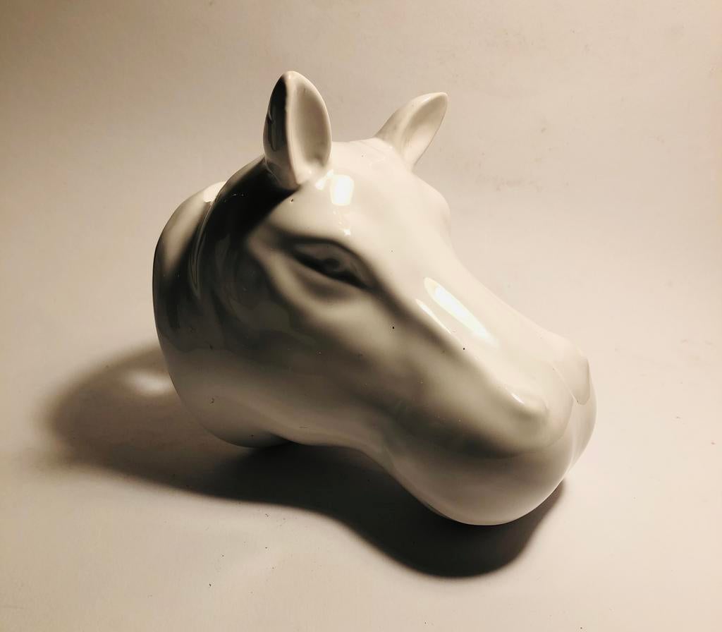 Plantenpotje voor aan de muur, nijlpaard kop, Verzenden, Halfschaduw, Minder dan 100 cm