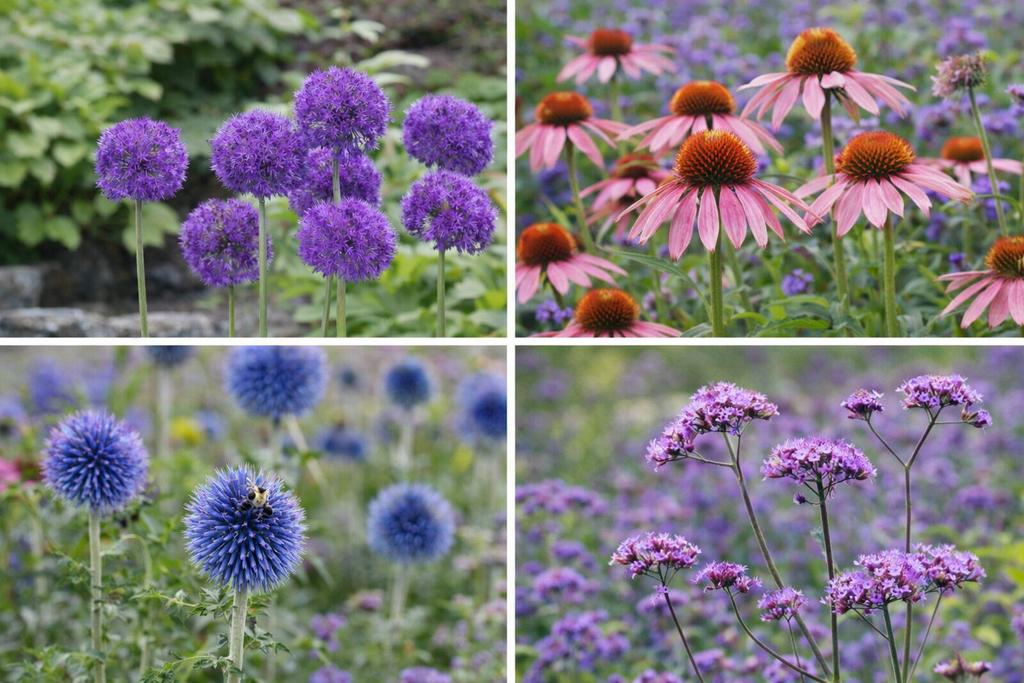 Vaste planten - Siergras - Geranium  - Laagste prijs!, Volle zon, Vaste plant, Zomer, Ophalen