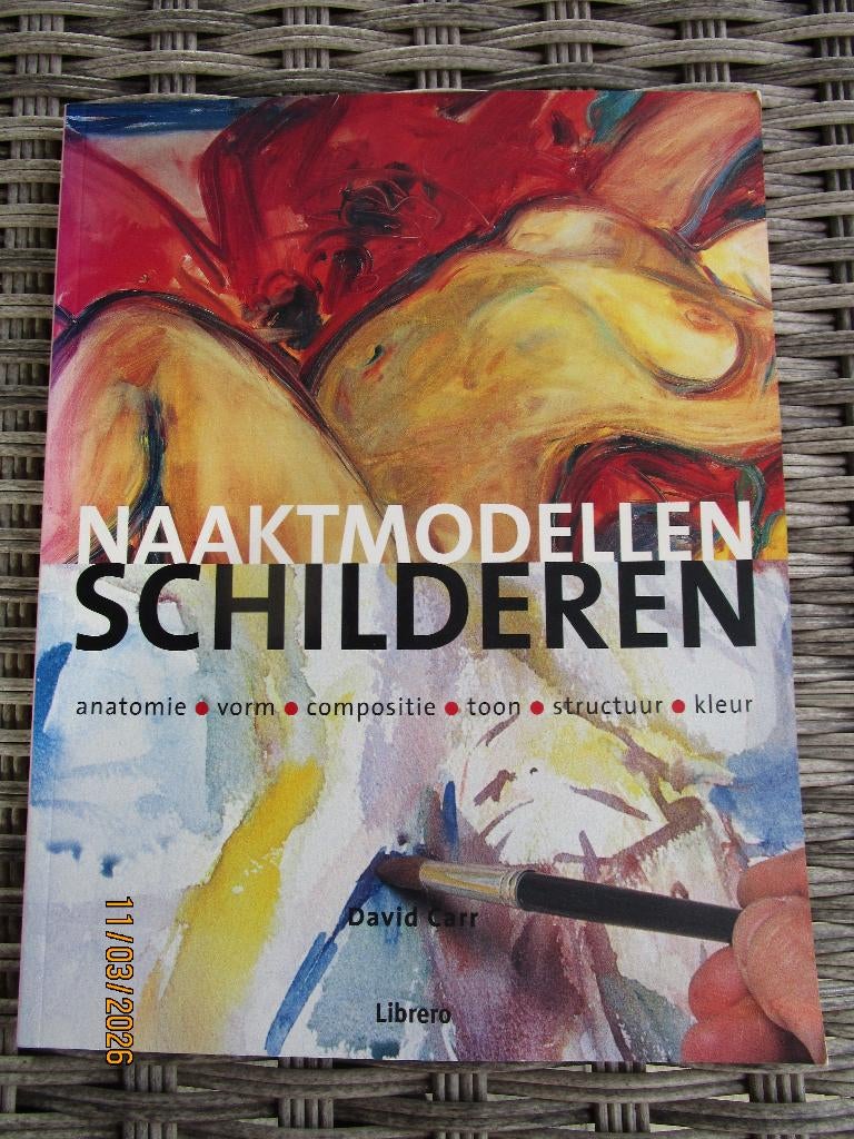 David Carr/ Naaktmodellen schilderen, Ophalen of Verzenden, Gelezen, Tekenen en Schilderen, David Carr