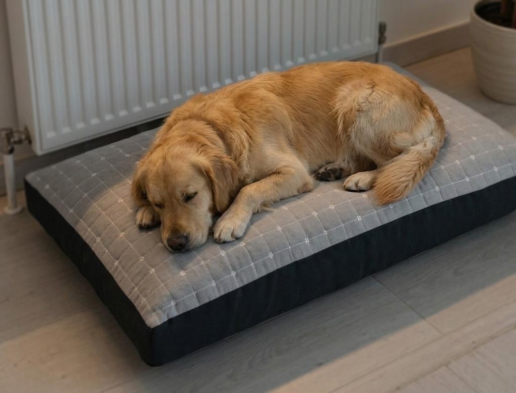 Kussen, Ophalen of Verzenden, Nieuw, Vierkant