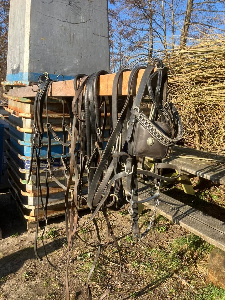 Tuig om te mennen, Dieren en Toebehoren, Paarden en Pony's | Hoofdstellen en Tuigage, Ophalen of Verzenden, Gebruikt, Overige soorten