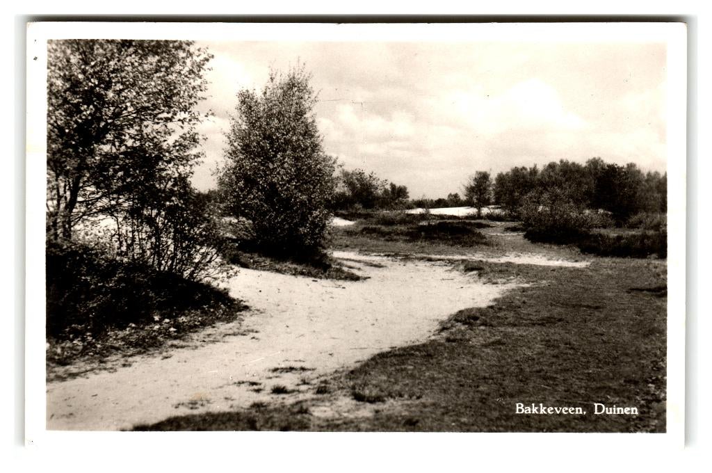 Bakkeveen, Duinen, Verzenden, 1940 tot 1960, Gelopen, Friesland