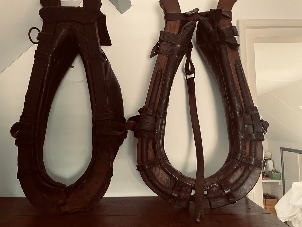 Paardenhaam, Ophalen of Verzenden, Zo goed als nieuw, Overige soorten