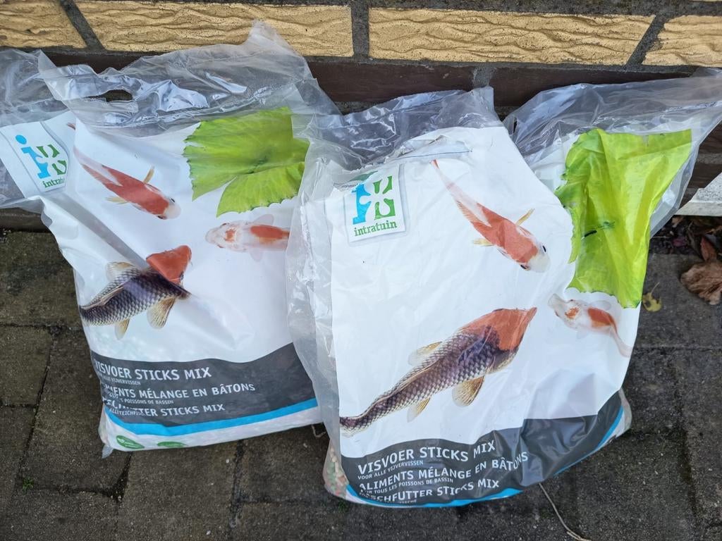 Visvoer, Karper of Koi