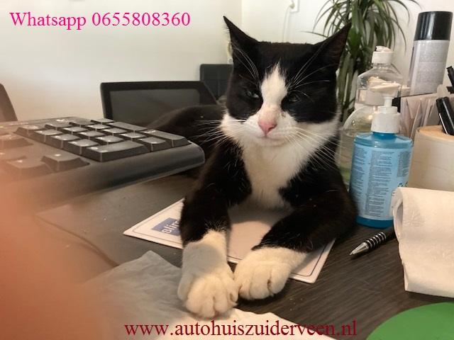 NISSAN Leaf Electric 30kW Acenta Slechts 35.000 Km, Automaat, Gebruikt, Electronic Stability Program (ESP), Wit