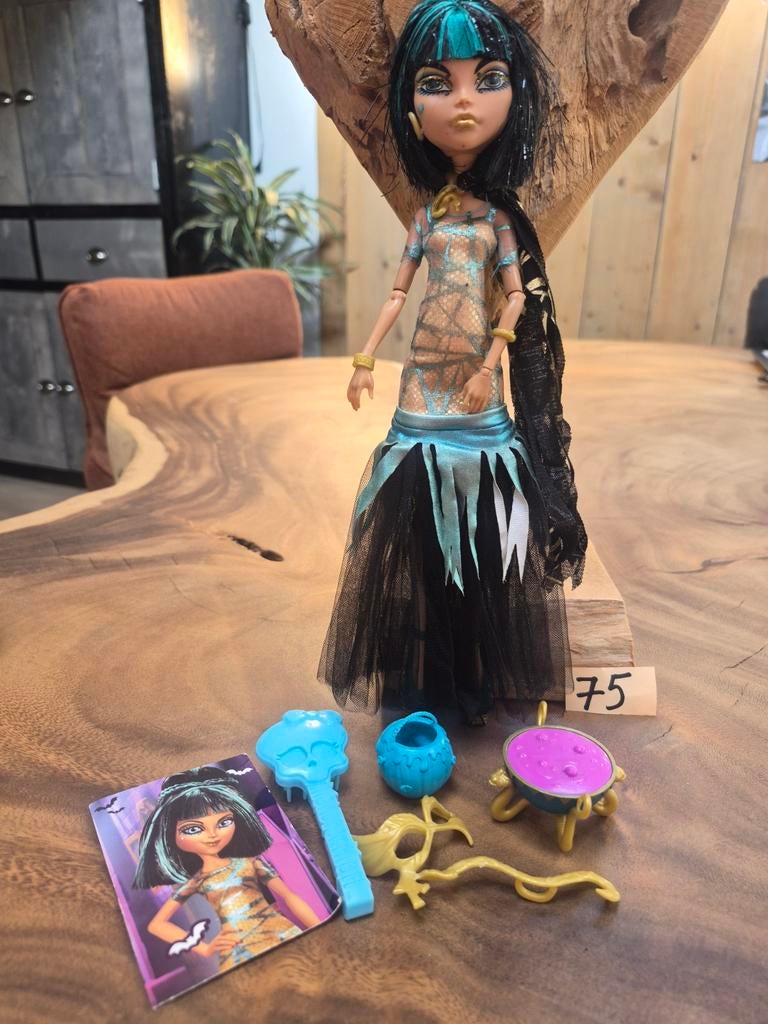Monster high pop, Ophalen of Verzenden