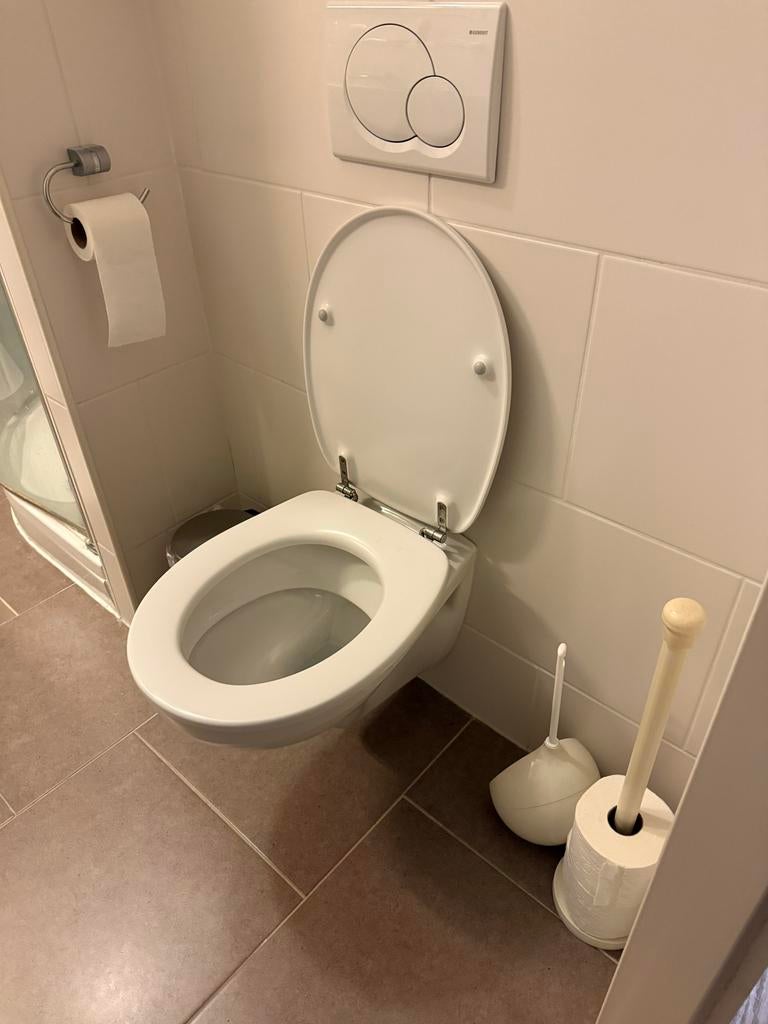 Gratis op te halen wc, Ophalen, Gebruikt, Toilet