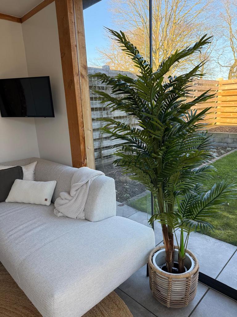 Kunstplant palm ca 165-170, Ophalen, Zo goed als nieuw
