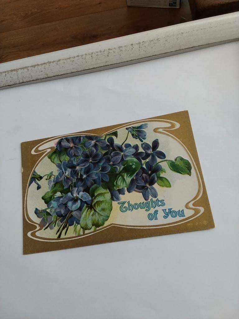 VIOOLTJES.   THOUGHTS OF YOU, Verzamelen, Ansichtkaarten | Themakaarten, Ophalen of Verzenden, Voor 1920, Overige thema's