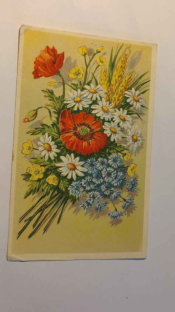 Nederland Thema met aparte postzegel & stempel KINDER POST, Verzamelen, Ophalen of Verzenden