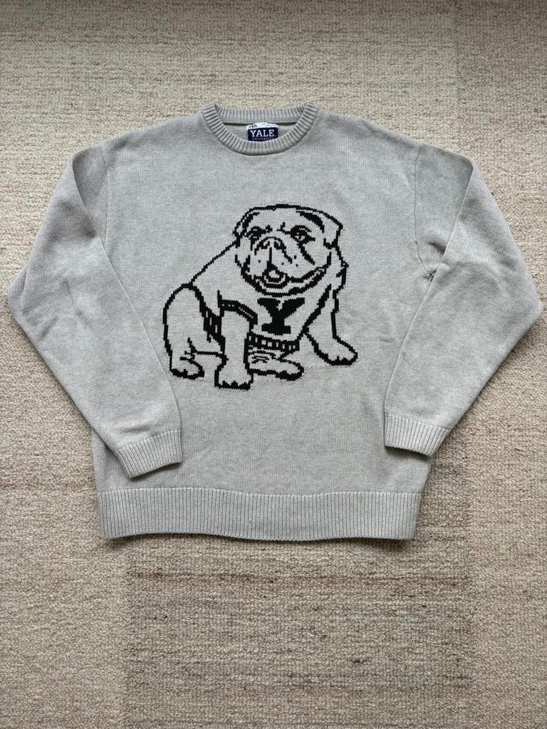 Zara Yale University maat L grijs, Ophalen of Verzenden, Zo goed als nieuw, Grijs