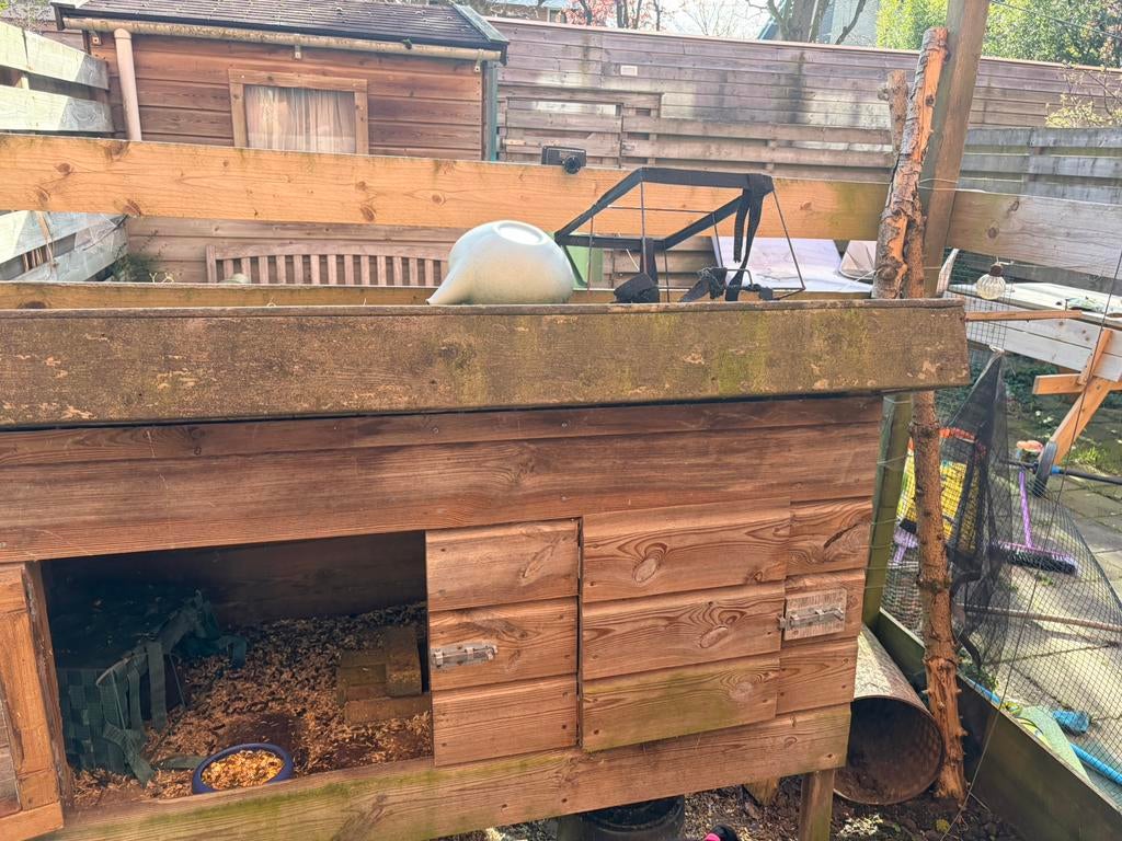 Cavia incl hok, Zo goed als nieuw, Hok, 75 tot 110 cm, Cavia