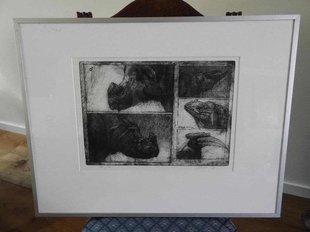 Ets - Gesigneerd - Jan Hurx - Rhinoceros Vnicornis - nr VIII, Ophalen