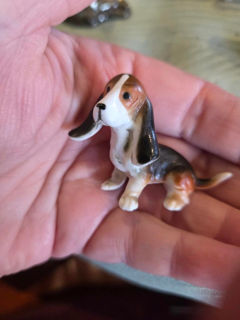 Schattig porseleinen Basset Hound beeldje, Ophalen