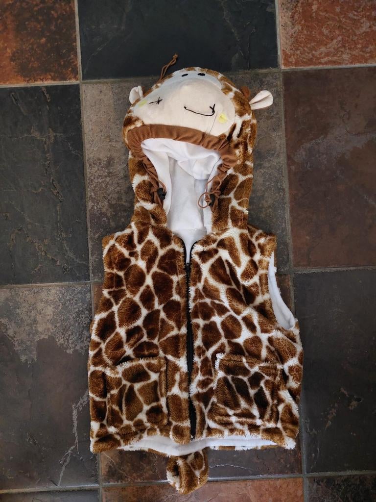 Giraffe pakje, Kinderen en Baby's, Carnavalskleding en Verkleedspullen, Ophalen of Verzenden, Gebruikt, 104 of kleiner, Jongen of Meisje