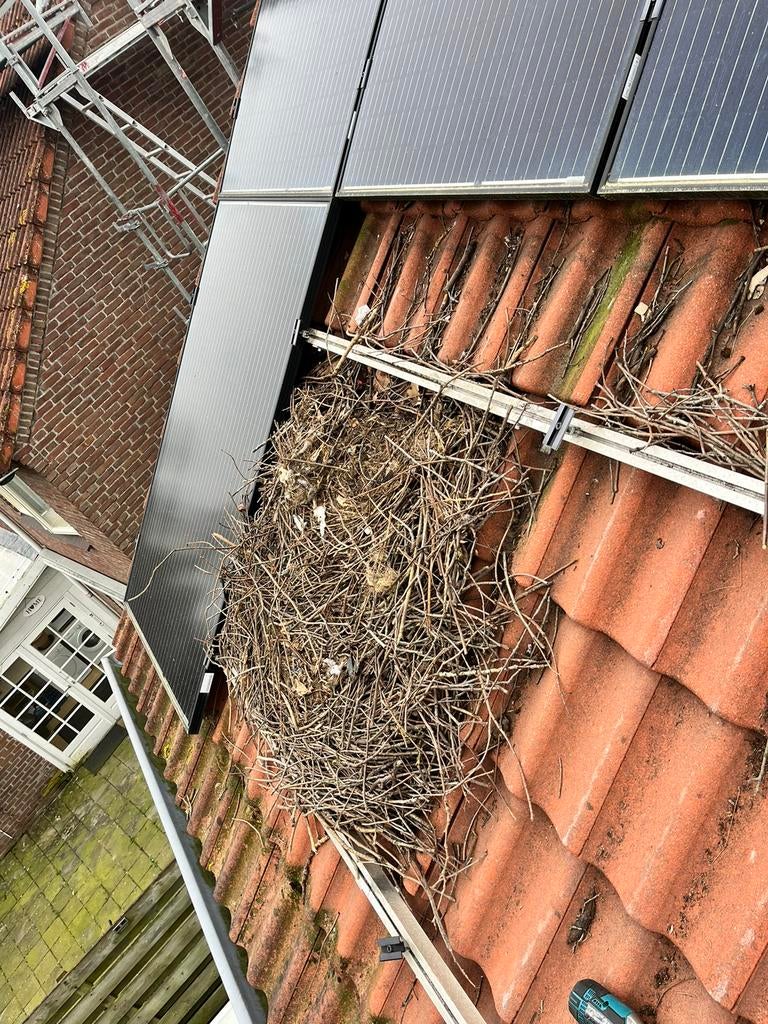 Zonnepanelen Vogelwering, Doe-het-zelf en Verbouw, Zonnepanelen en Toebehoren, Nieuw, Compleet systeem, Ophalen of Verzenden