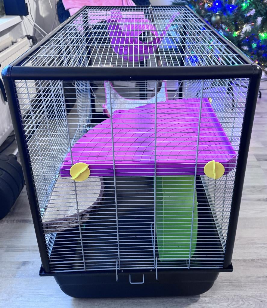 Complete Rat Cage Setup with Accessories, Ophalen, Kooi, 60 tot 90 cm, Zo goed als nieuw