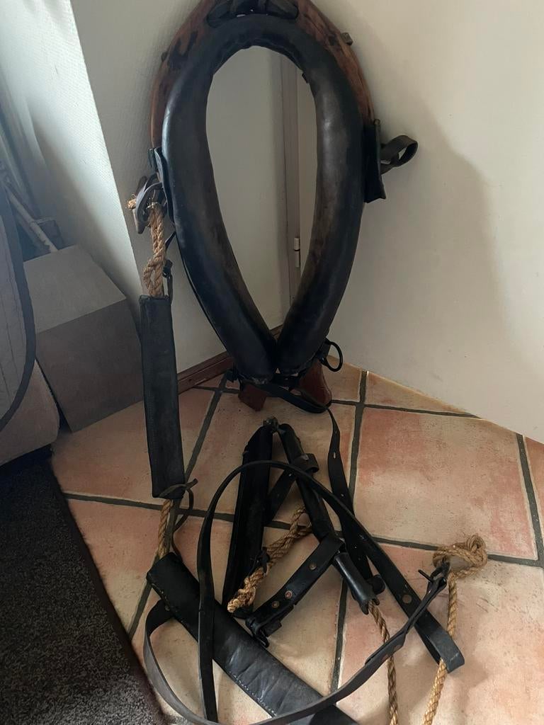 antieke paarden hooftsteel, Dieren en Toebehoren, Paarden en Pony's | Hoofdstellen en Tuigage, Ophalen of Verzenden, Zo goed als nieuw