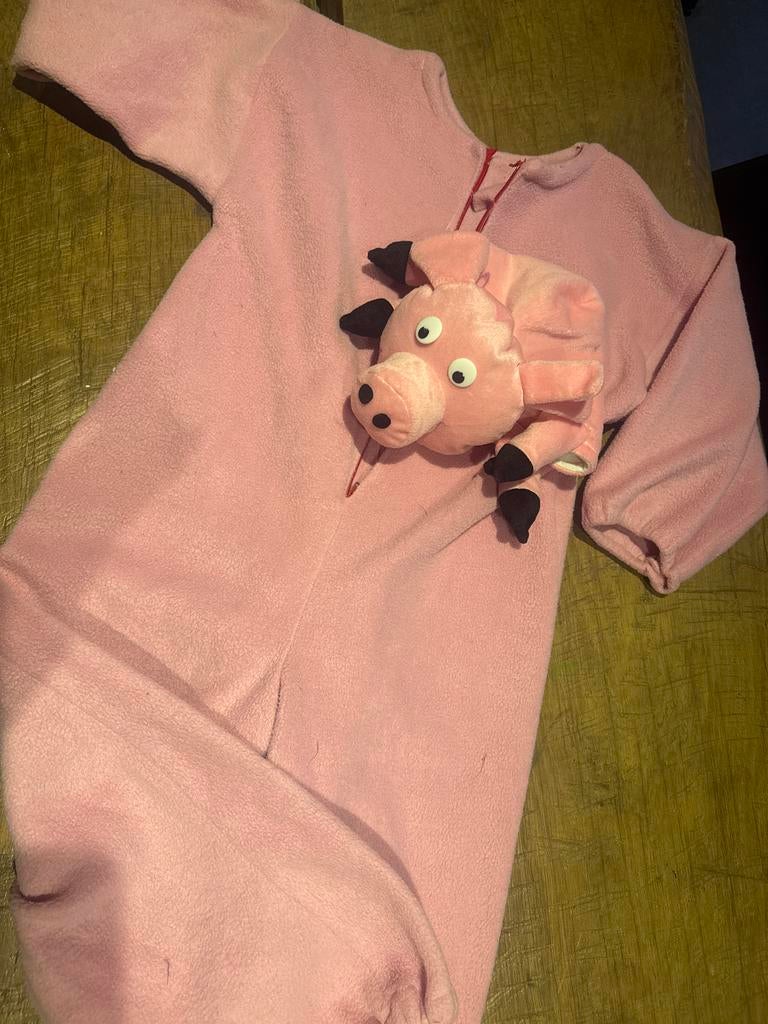 Varkenspak Carnaval - Maat 10-12 jaar, Ophalen of Verzenden, Gebruikt, 146 t/m 152, Jongen of Meisje