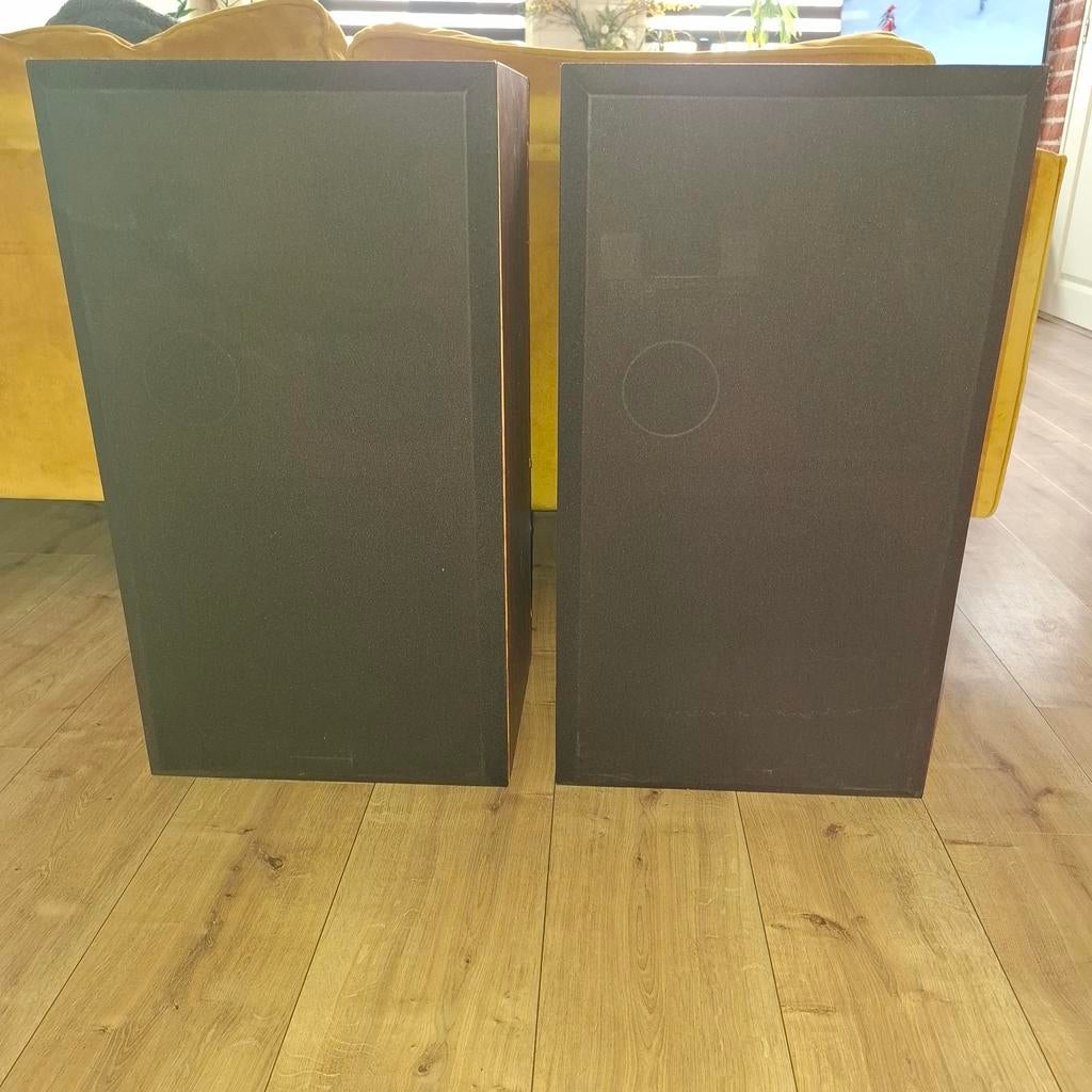 Dynamic Audio Pro Poly Series 1901, Audio, Tv en Foto, Luidsprekers, Ophalen, 120 watt of meer, Front, Rear of Stereo speakers