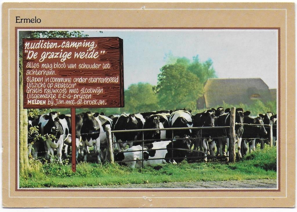 Ermelo Nudisten camping gelopen Ansichtkaart (B2368), Ophalen of Verzenden, 1980 tot heden, Gelopen, Gelderland
