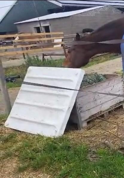 Deksel gezocht, Ophalen of Verzenden