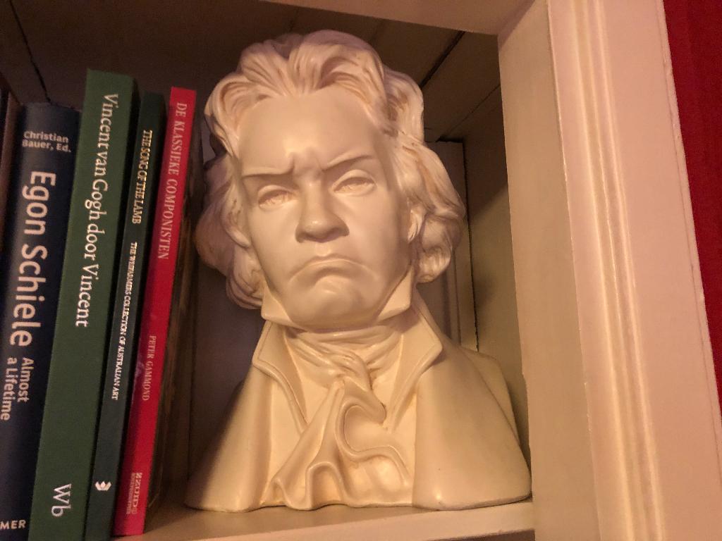Buste Beethoven en Mozart per stuk of gebroederlijk samen, Ophalen of Verzenden, Zo goed als nieuw, Mens