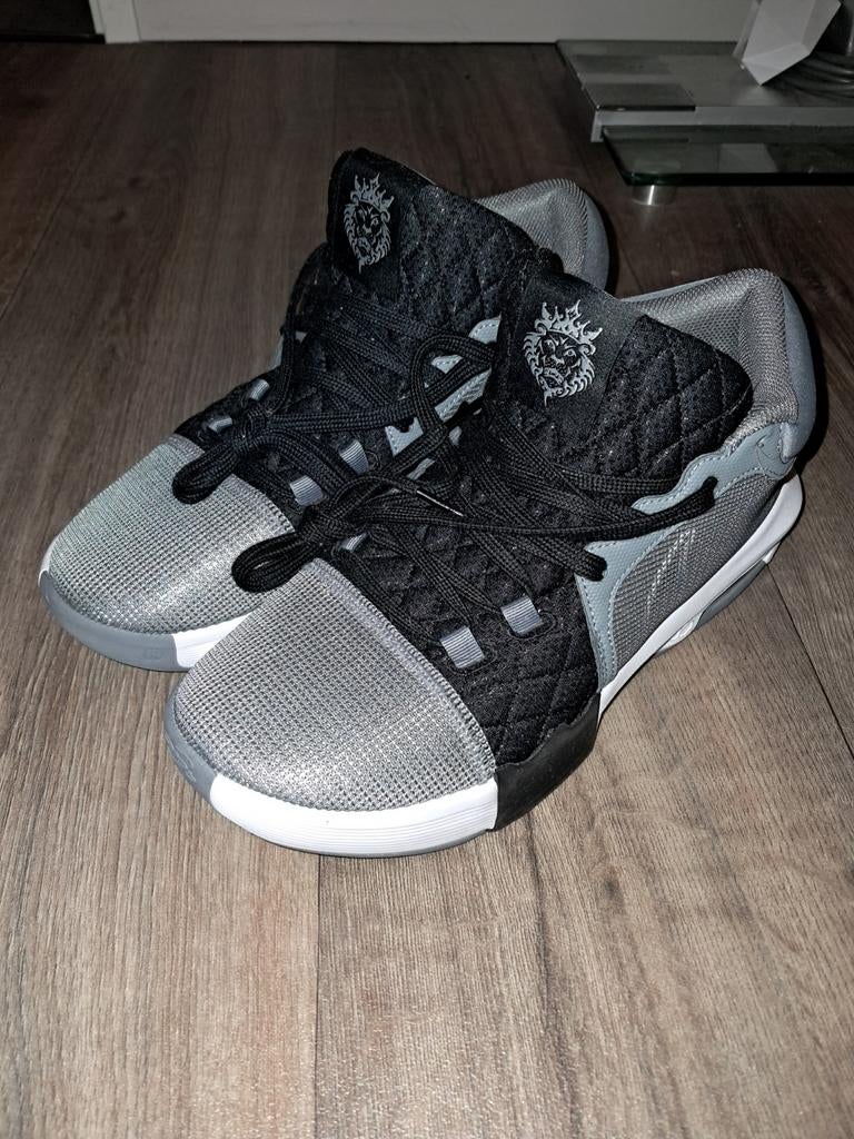 Lebron Witness basketbalschoen maat 42,5, Sport en Fitness, Basketbal, Ophalen of Verzenden, Zo goed als nieuw, Schoenen