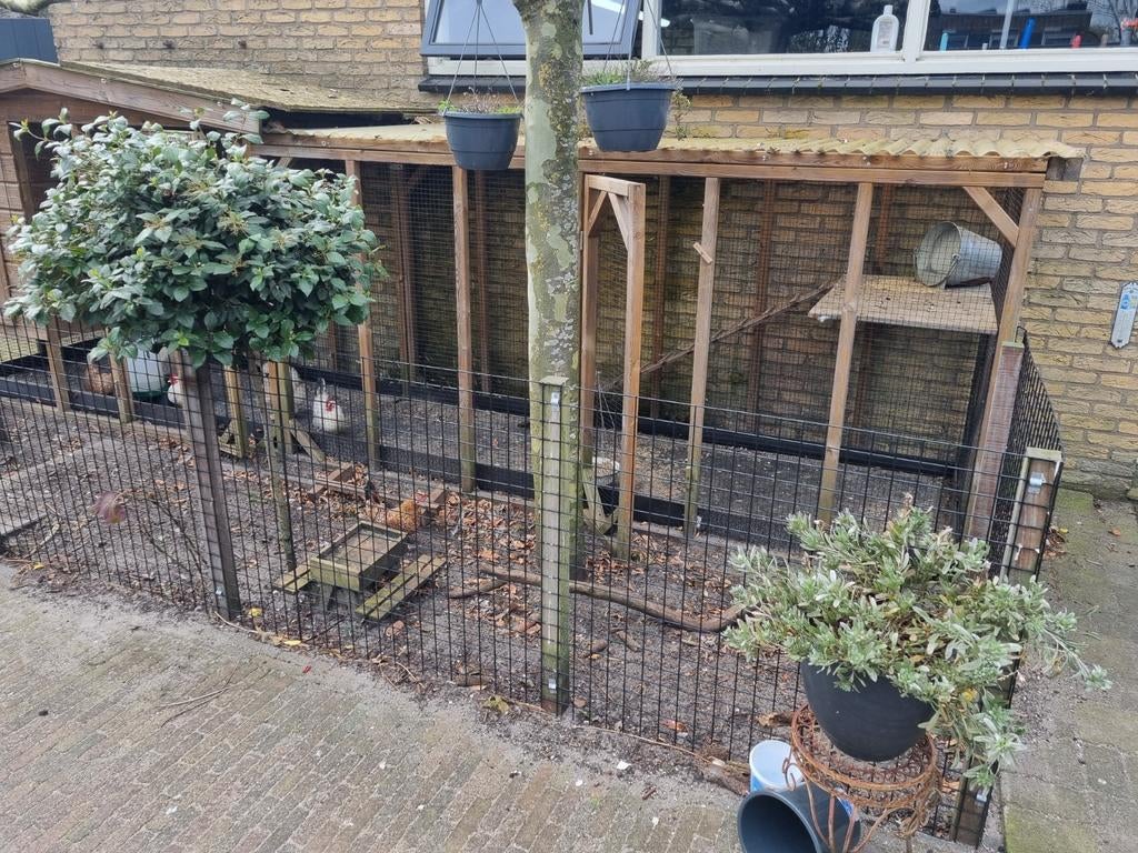 Kippenren alleen rechterdeel, Ophalen, Hout, Volière