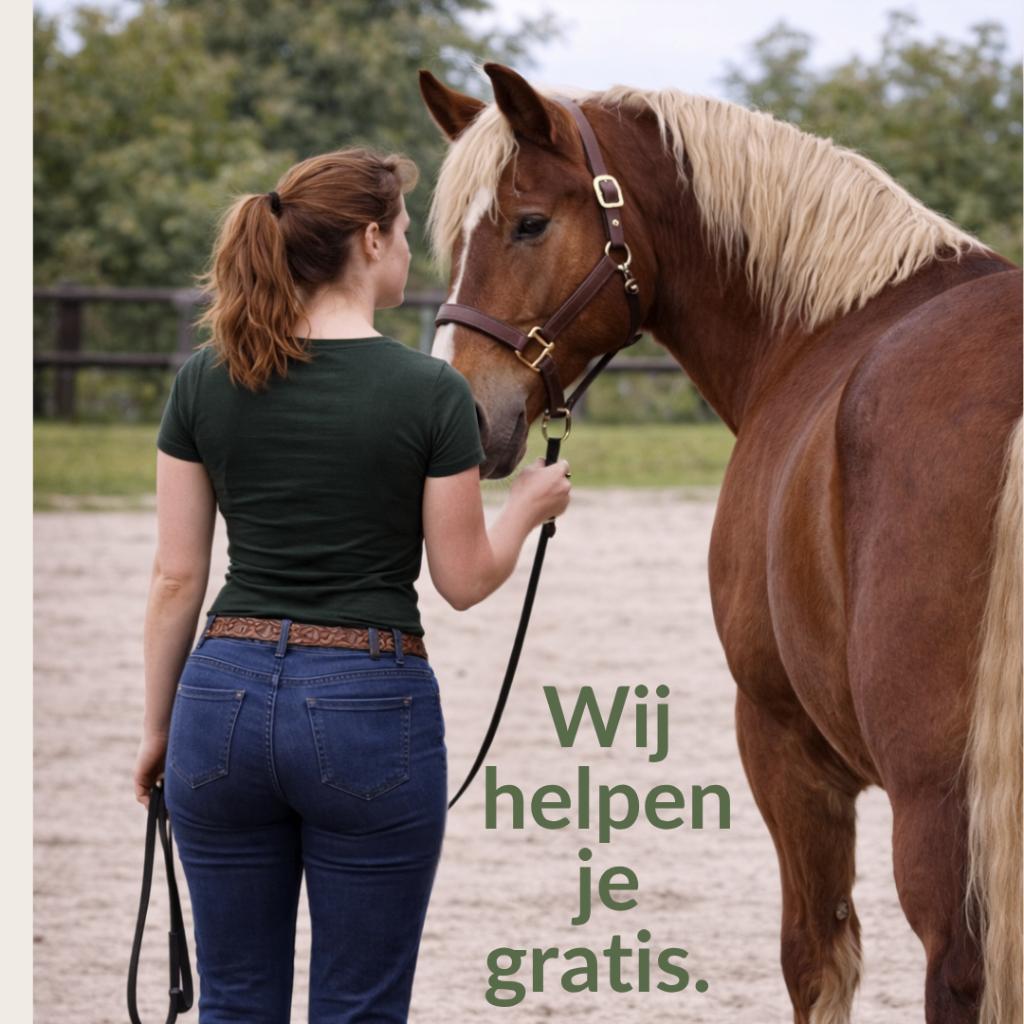 Gedragstraining voor paarden in heel Nederland (gratis), Gedragstraining