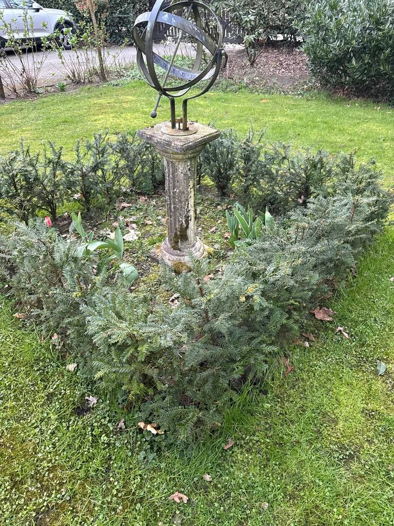 Taxus haag 50 cm, Ophalen, Taxus, Haag, Minder dan 100 cm