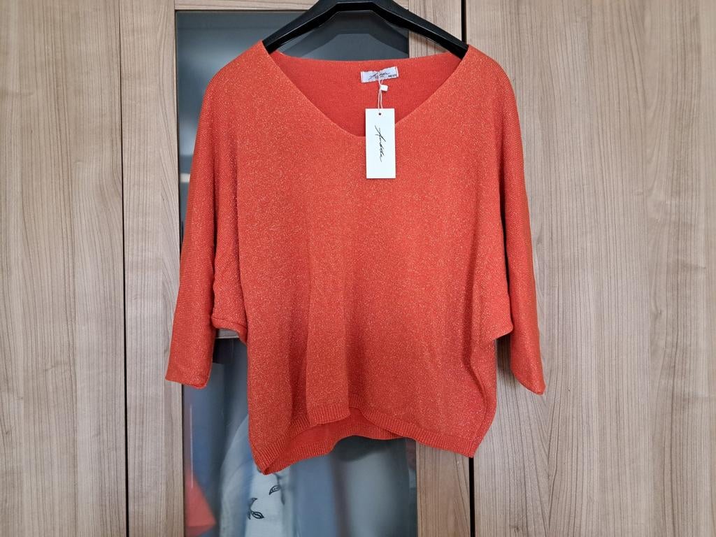Oranje glittertruitje Ambika, Ophalen of Verzenden, Nieuw, Oranje
