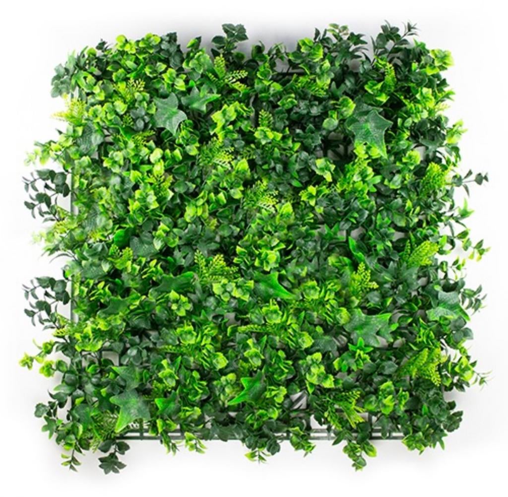 👉 Nu scherp geprijsd kunsthaag hedera new 🌿– OP = OP! 🌿, Ophalen of Verzenden, Nieuw, Minder dan 10 m²