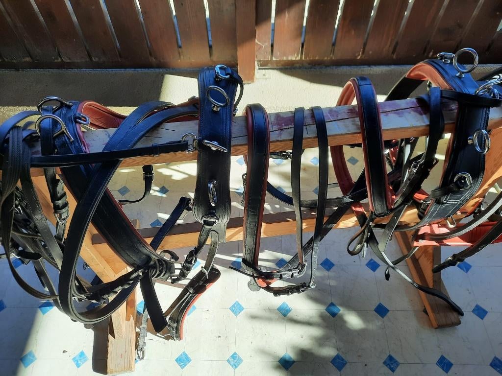 tweespan shetland pony mentuig, Ophalen of Verzenden, Gebruikt, Overige soorten