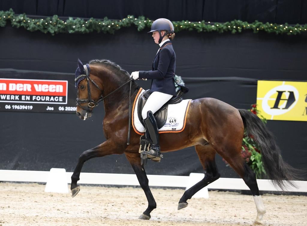 Ter dekking JUPILER'S RED BULL S