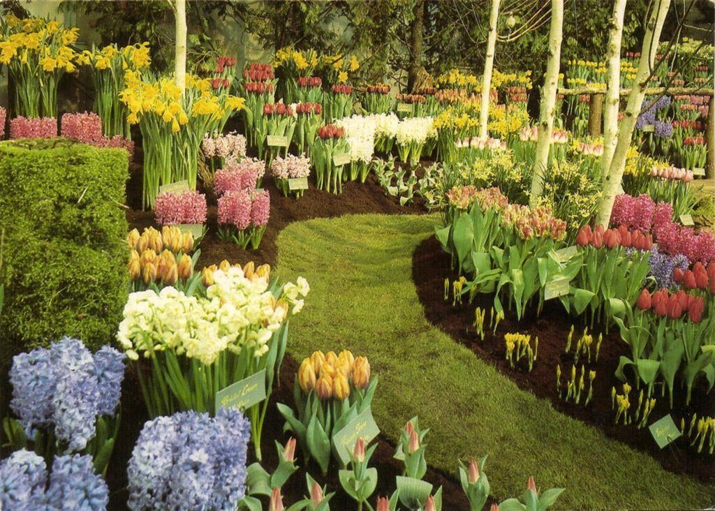 Westfriese Flora - Bovenkarspel - 1987 gelopen, Ophalen of Verzenden, Voor 1920, Gelopen, Noord-Brabant