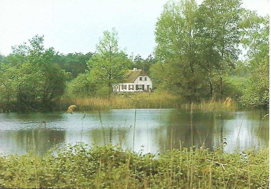 Bergeyk- -Viskwekerij Heidemij O.V.B., Verzamelen, Verzenden, 1960 tot 1980, Ongelopen, Noord-Brabant