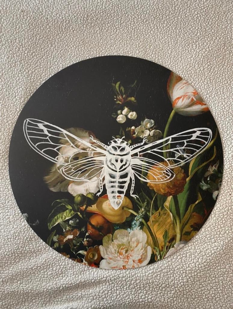 Heinen Delfts Blauw wandbord nachtvlinder, Ophalen, Zo goed als nieuw