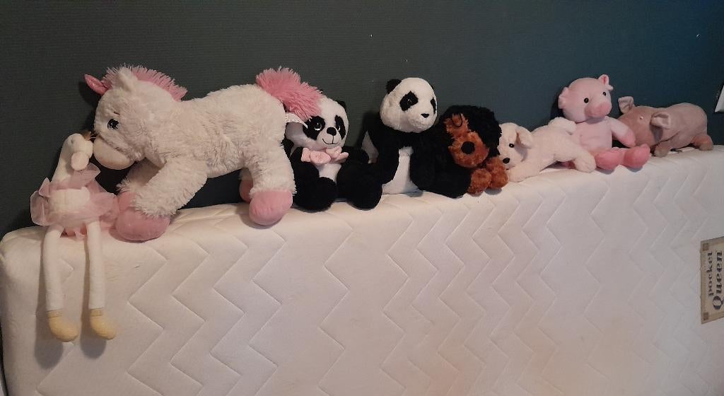 Knuffels 8 stuks., Ophalen of Verzenden, Gebruikt, Overige typen