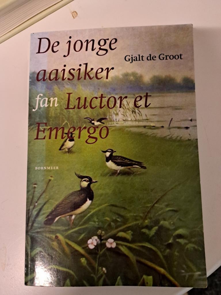 De jonge aaisiker fan Luctor et Emergo, Ophalen of Verzenden, Gelezen, Gjalt de Groot