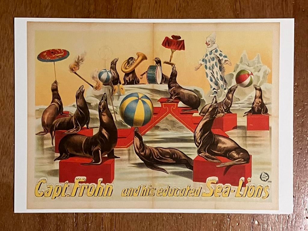 Capt. Frohn and his educated Sea-Lions, Ophalen of Verzenden, 1980 tot heden, Ongelopen, Politiek en Historie